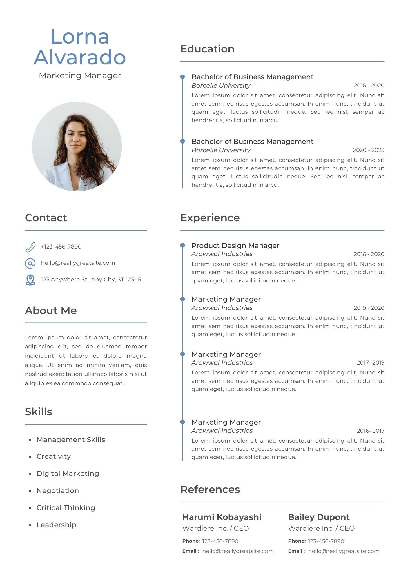 Professional Modern CV Resume